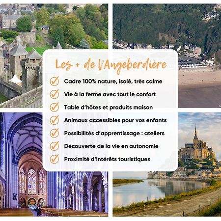 L'Angeberdière Saint-Mars-sur-la-Futaie Esterno foto