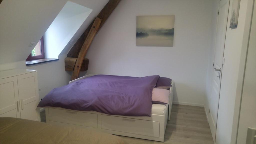 L'Angeberdière Saint-Mars-sur-la-Futaie Esterno foto