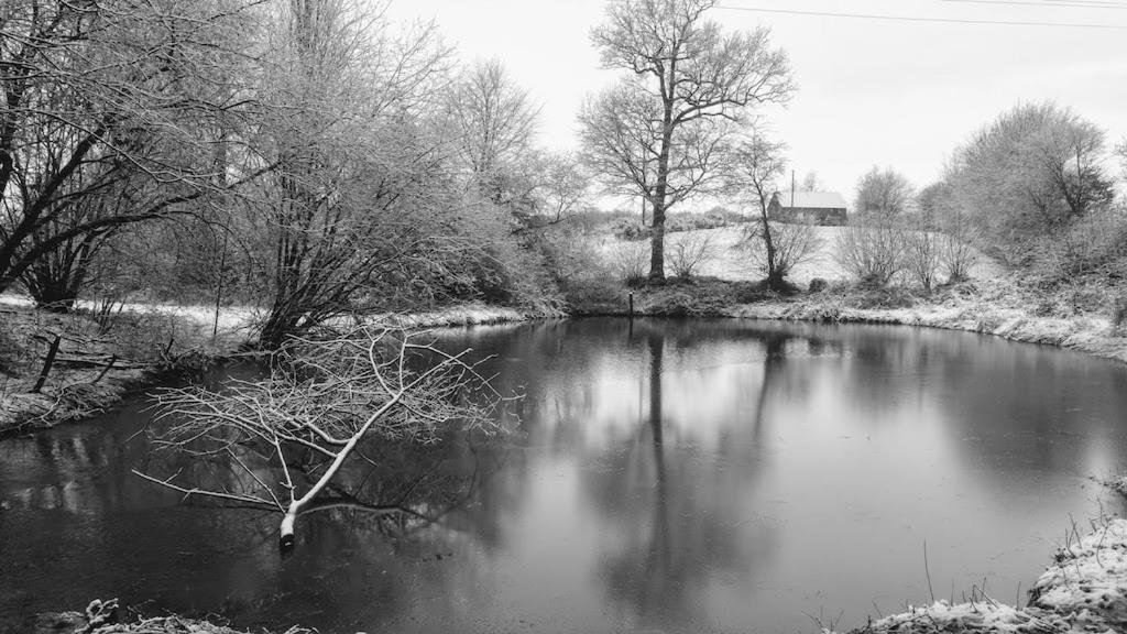 L'Angeberdière Saint-Mars-sur-la-Futaie Esterno foto