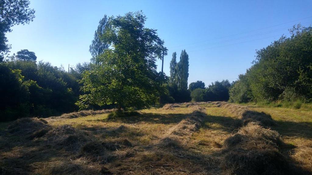 L'Angeberdière Saint-Mars-sur-la-Futaie Esterno foto