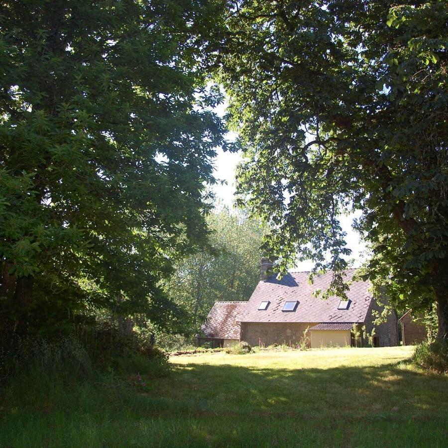 L'Angeberdière Saint-Mars-sur-la-Futaie Esterno foto