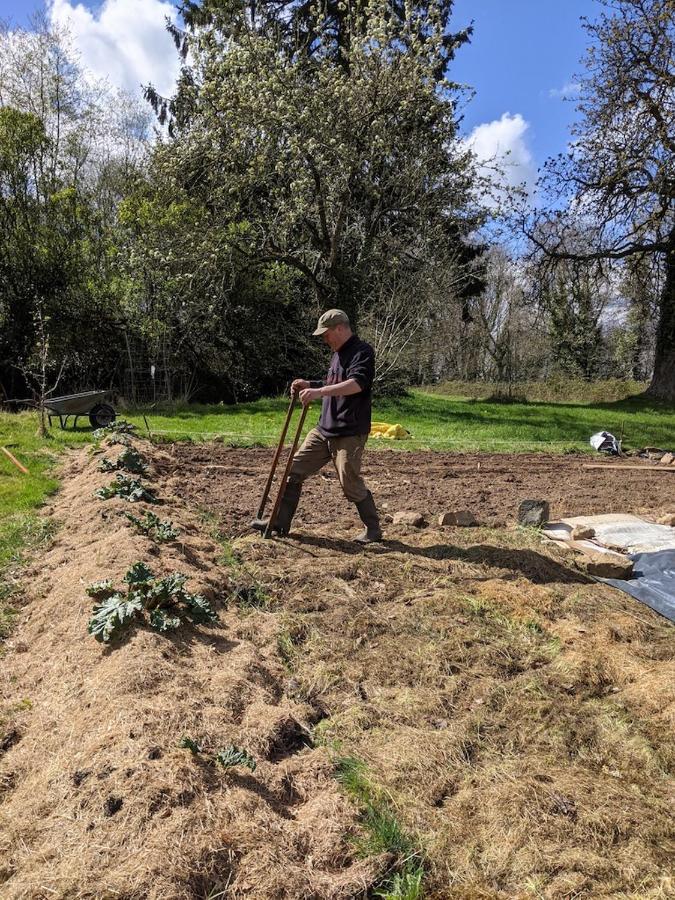 L'Angeberdière Saint-Mars-sur-la-Futaie Esterno foto